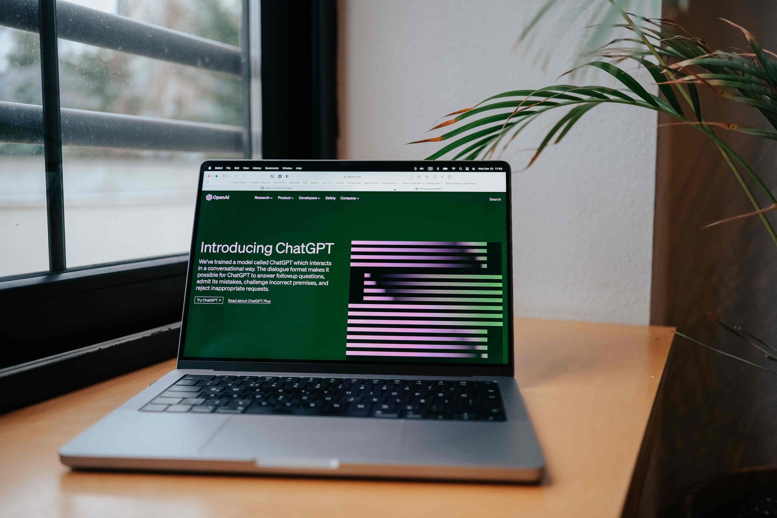 A laptop open on a wooden desk near a window displaying OpenAI's "Introducing ChatGPT" webpage with a green houseplant on the side.